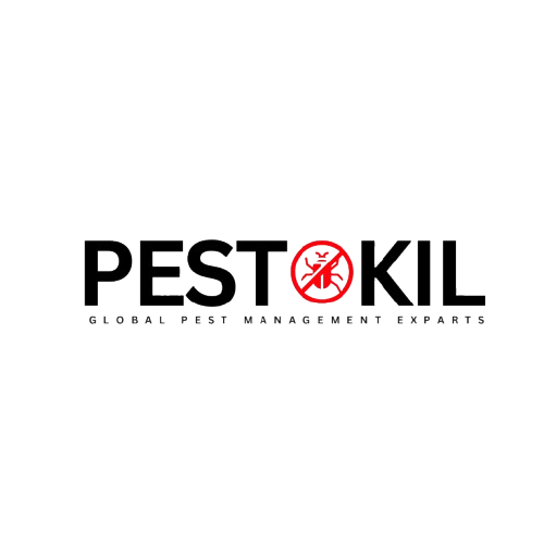 Pestokil – Professional Pest Control Services